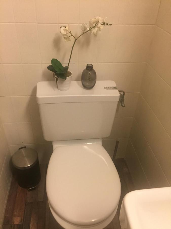 Petit Appart De Charme Eau Chaude Solaire Renovation 2021 Wifi Disponible Belvedere 5 Сен-Люк Экстерьер фото